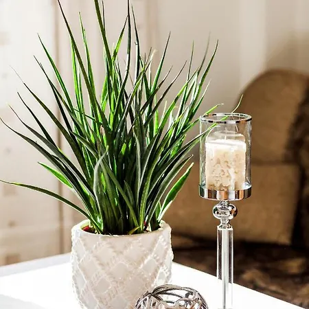 Z Widokiem Na Morze Appartamento *